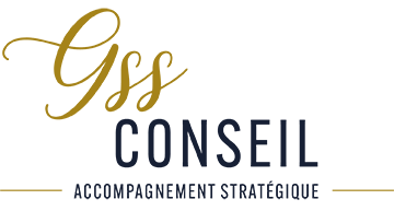 logo-GSS-conseil-web